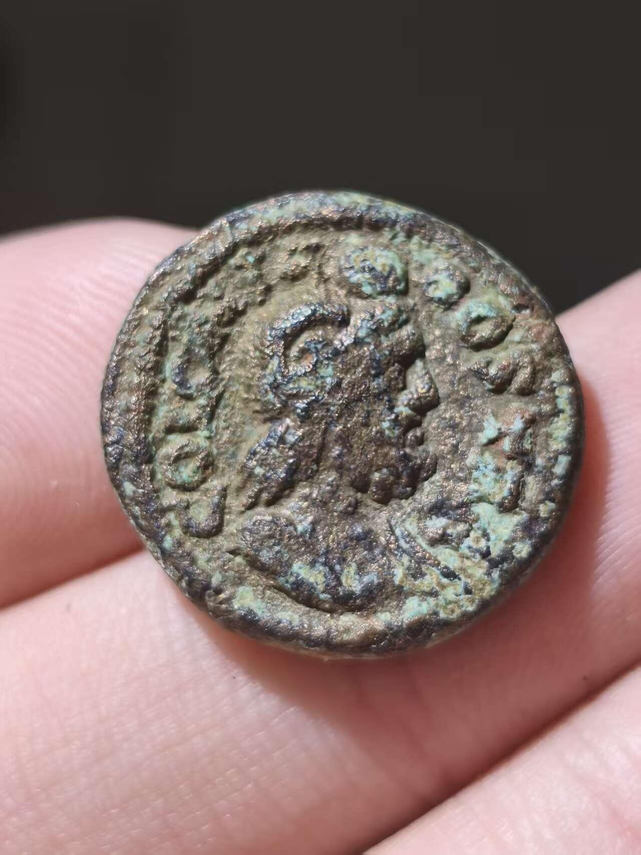 星盘世界钱币十一月五日古典币专场