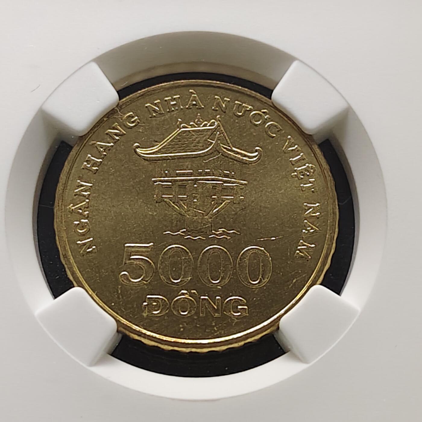 【全场包邮】纯粹捡漏拍473场（免费代拍第10场）