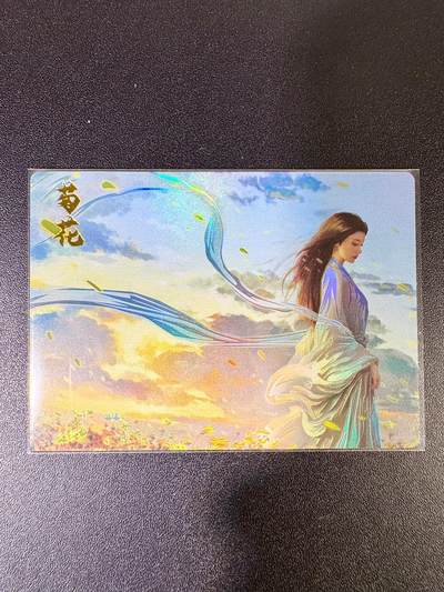 NO.14 好又多金牌大场，双11狂欢！每周一站式配齐，方便凑单！（周6晚8点截拍，卖家送拍0抽成！） - 齐卡 四大名花菊花-彩闪特卡