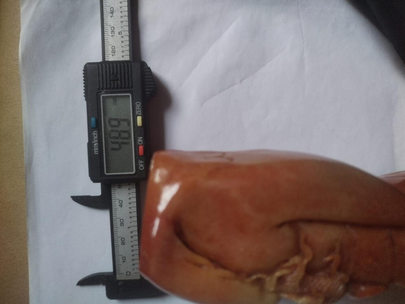 综合 寿山石摆件。重约1200克。