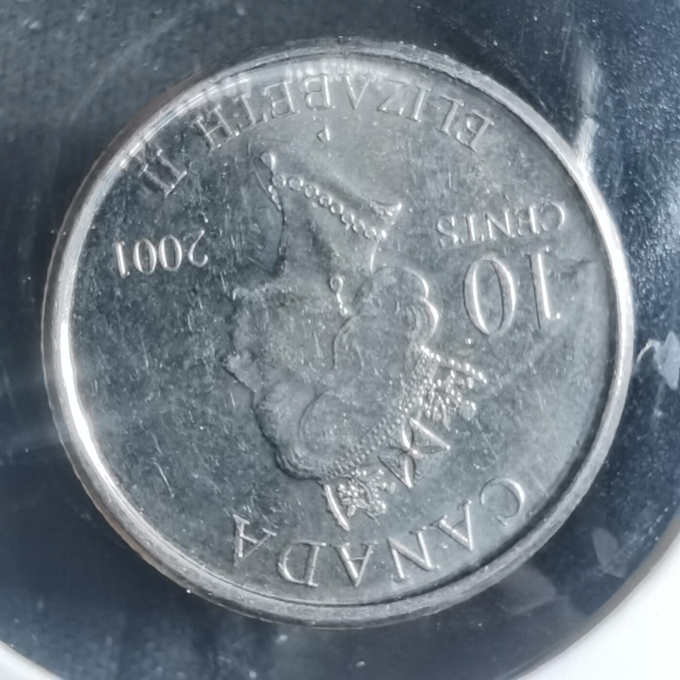 沼泽如烟--第885场 加拿大2001年十分