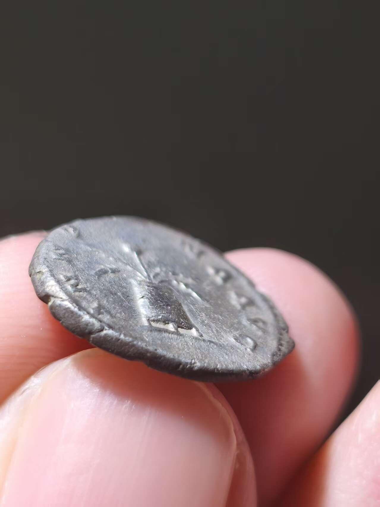 星盘世界钱币十一月五日古典币专场