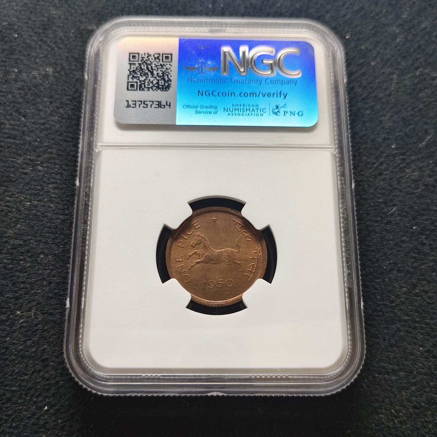 【全场包邮】纯粹捡漏拍473场（免费代拍第10场）