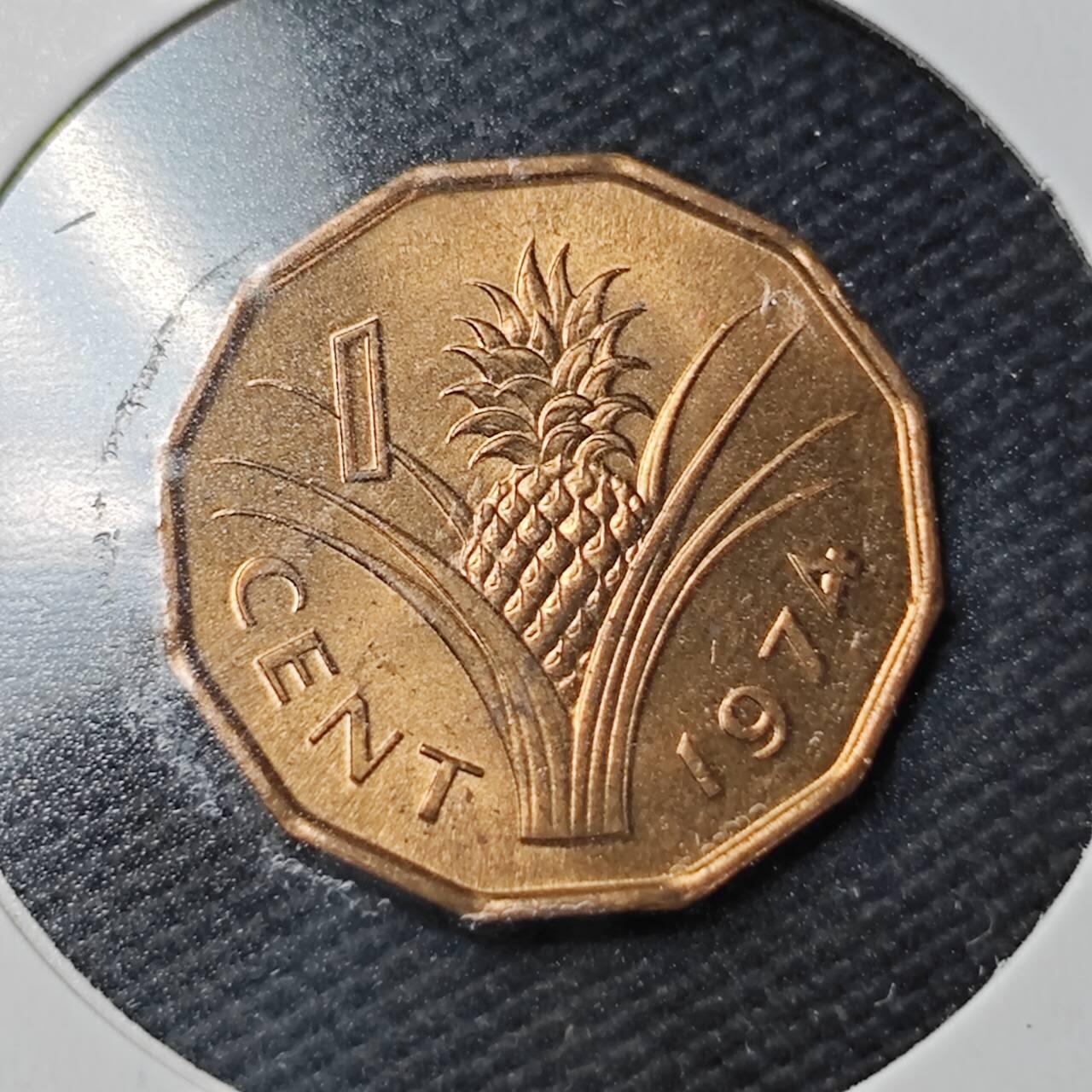 KK钱币收藏小铺  第361场  2月预留时间 周末发货  1974斯威士兰1分铜币 好品