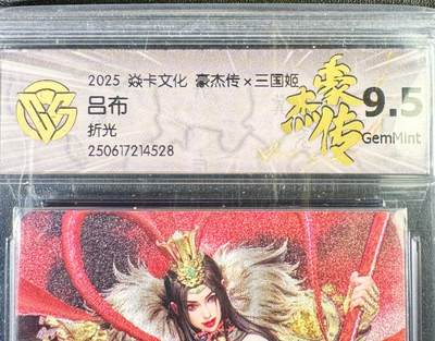 NO.14 好又多金牌大场，双11狂欢！每周一站式配齐，方便凑单！（周6晚8点截拍，卖家送拍0抽成！） - 焱卡 豪杰传 黑暗王朝 吕布 折光 9.5G