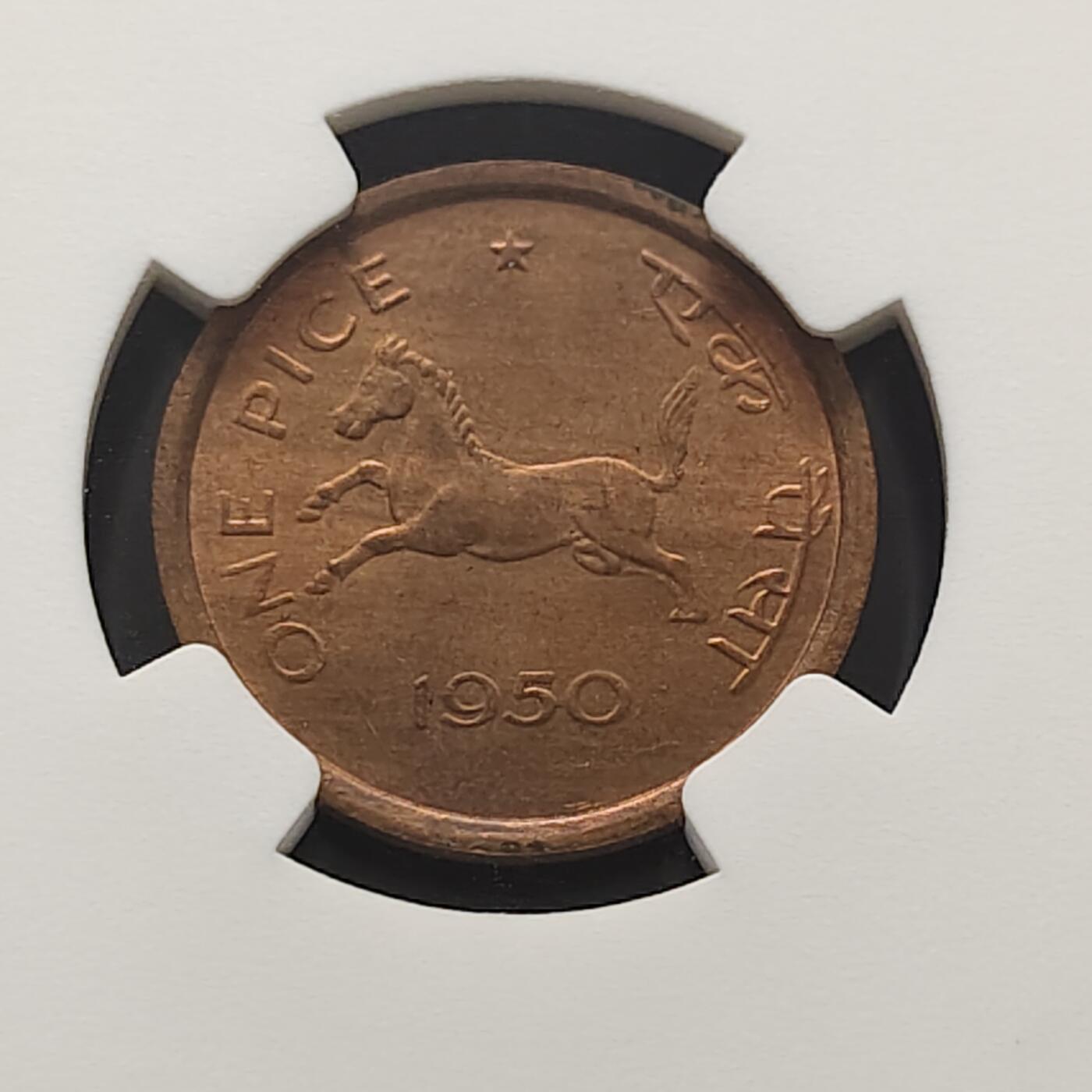 【全场包邮】纯粹捡漏拍473场（免费代拍第10场）