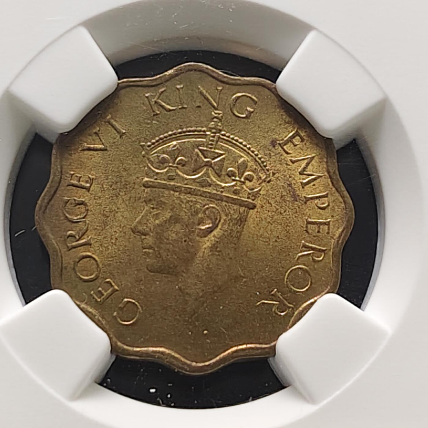 【全场包邮】纯粹捡漏拍473场（免费代拍第10场）