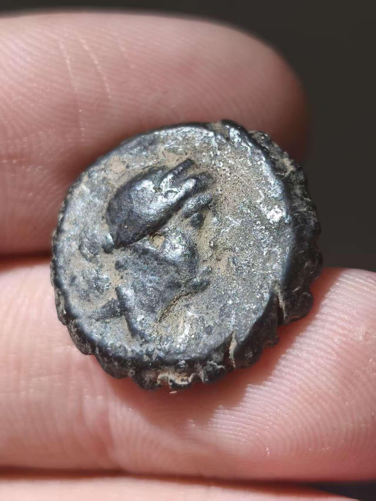 星盘世界钱币十一月五日古典币专场