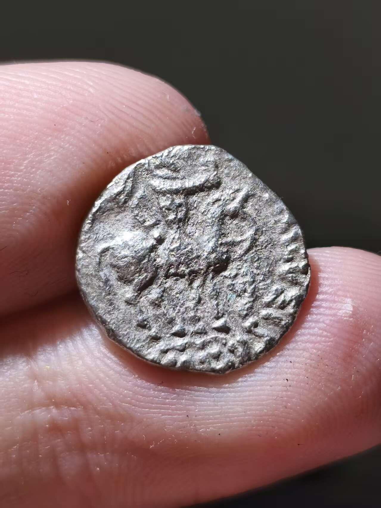 星盘世界钱币十一月五日古典币专场