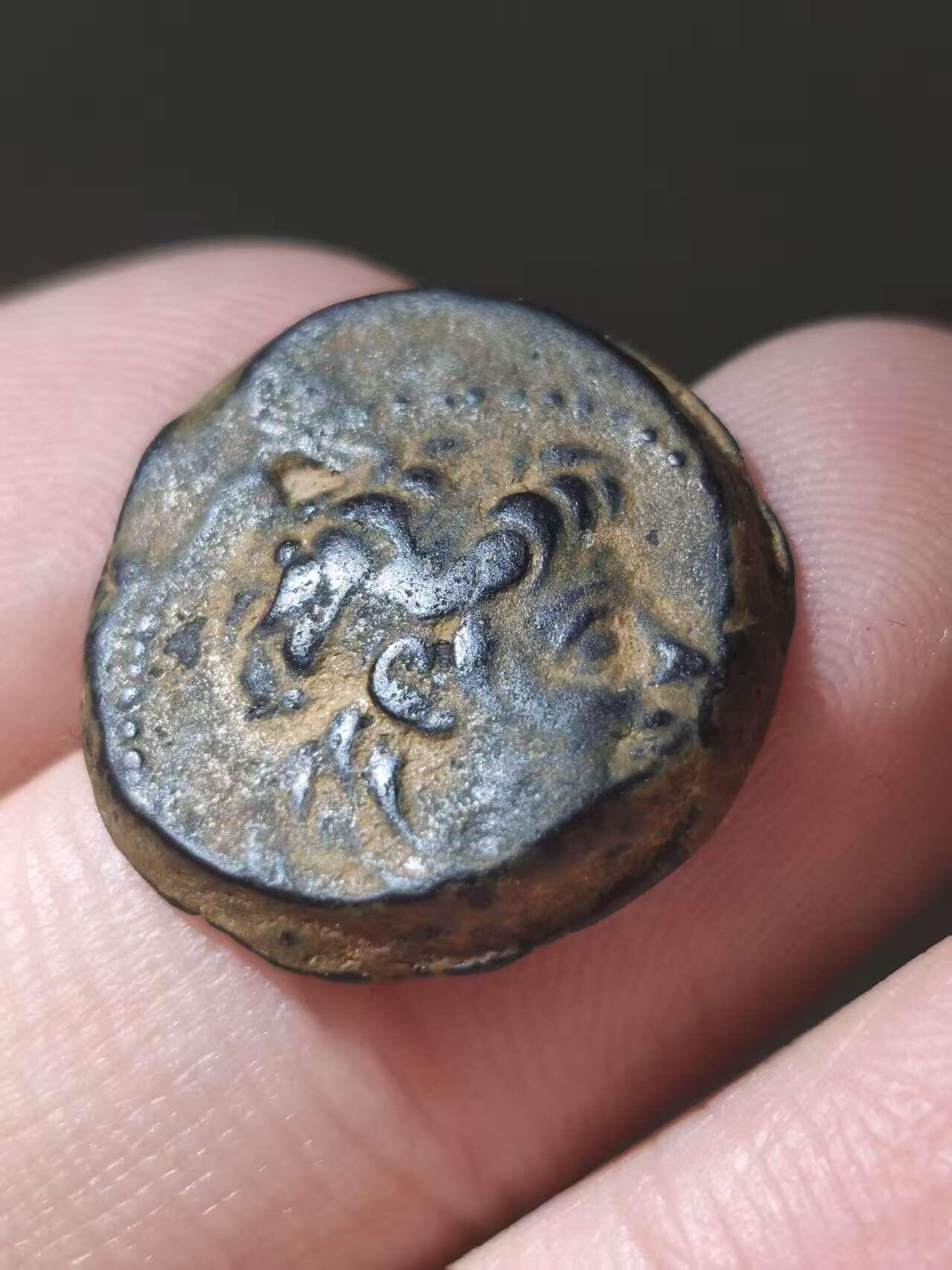 星盘世界钱币十一月五日古典币专场