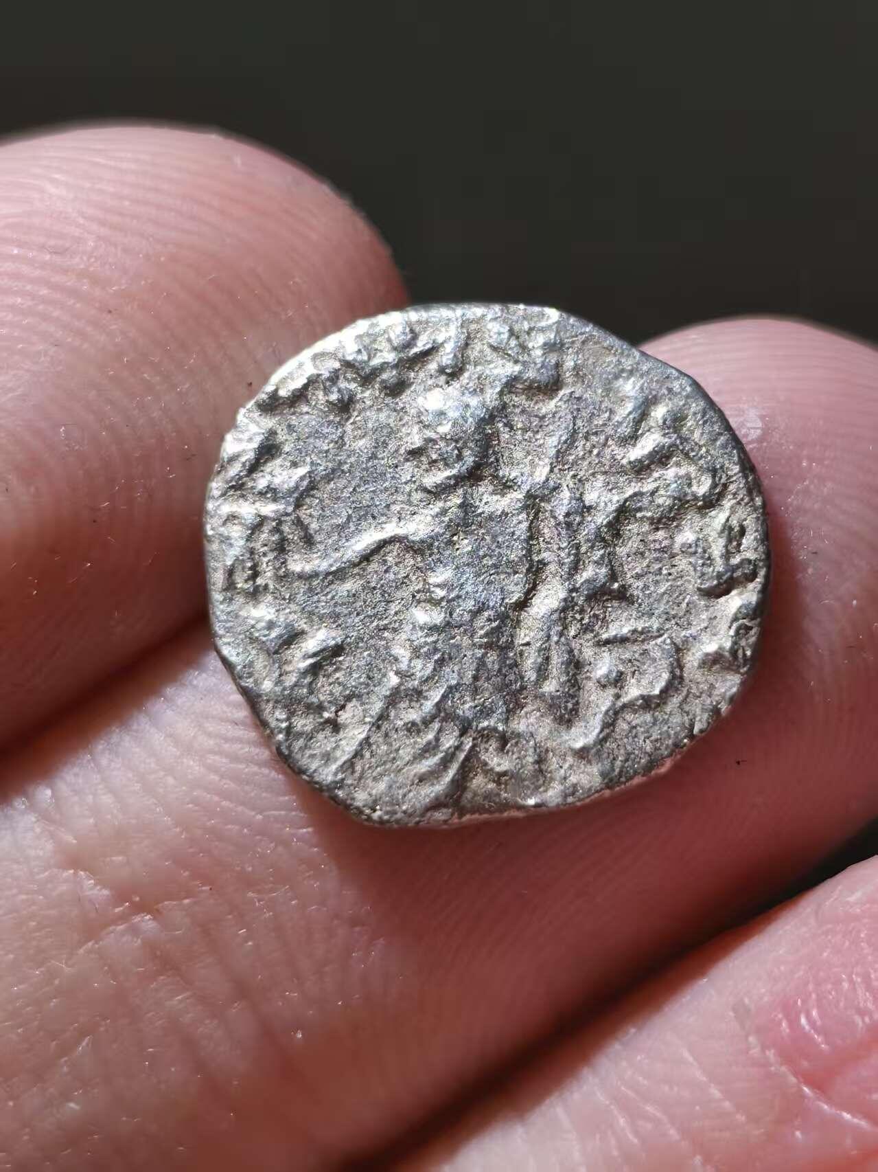 星盘世界钱币十一月五日古典币专场