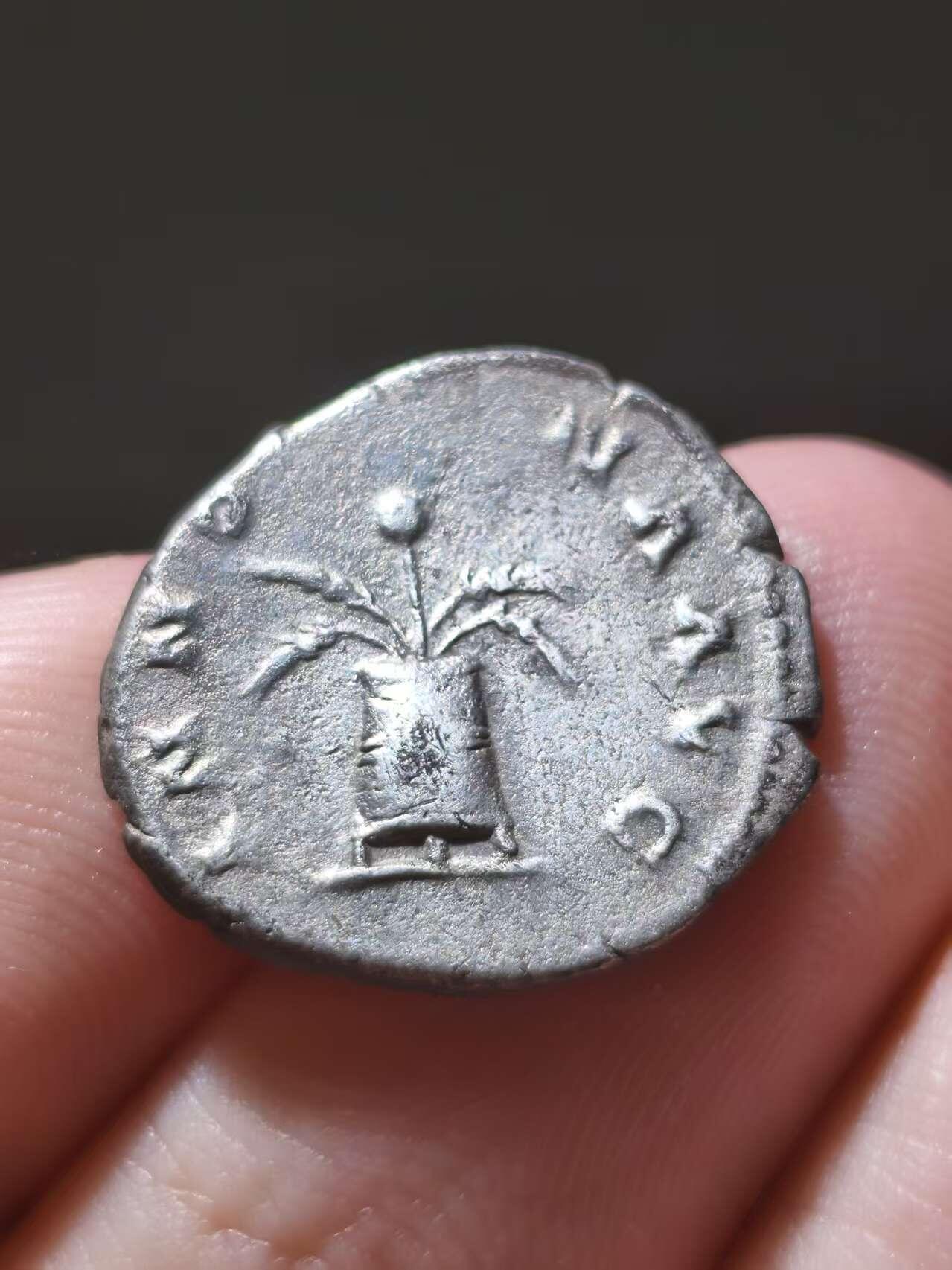 星盘世界钱币十一月五日古典币专场