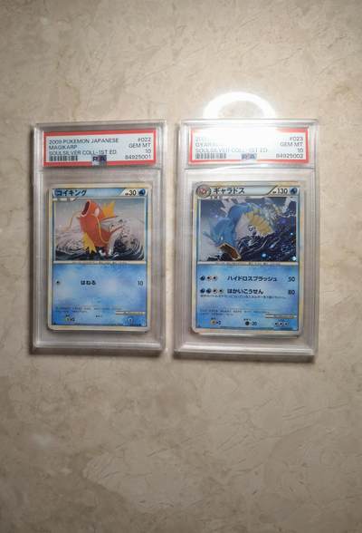 秋原瞳的小店第二十七期（持续收拍，11月秋意正浓，冬欲近，暖心囤卡好时光） - PTCG PSA 10分 暴鲤龙 鲤鱼王 连号 2009 022 023/070 ★H L1S 补充包 魂银收集 1ED 日文