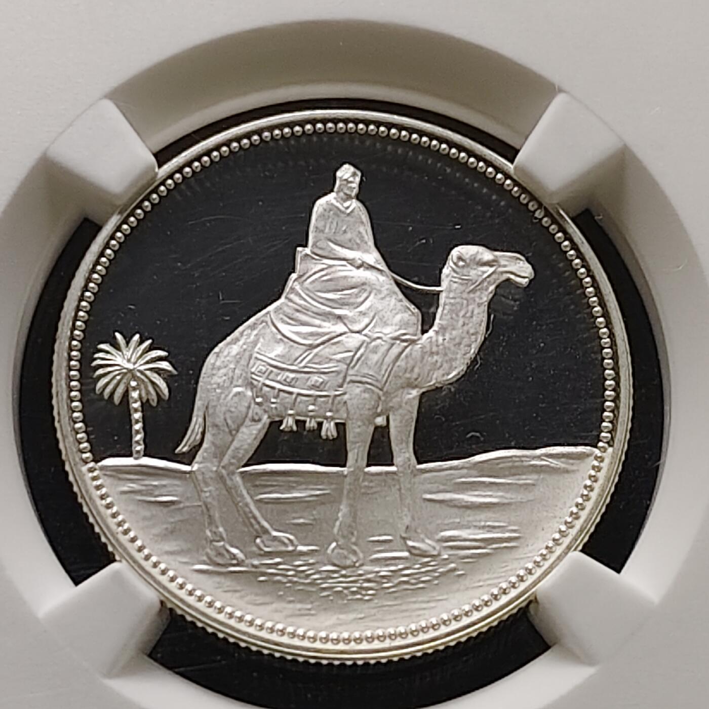 【全场包邮】纯粹捡漏拍473场（免费代拍第10场）