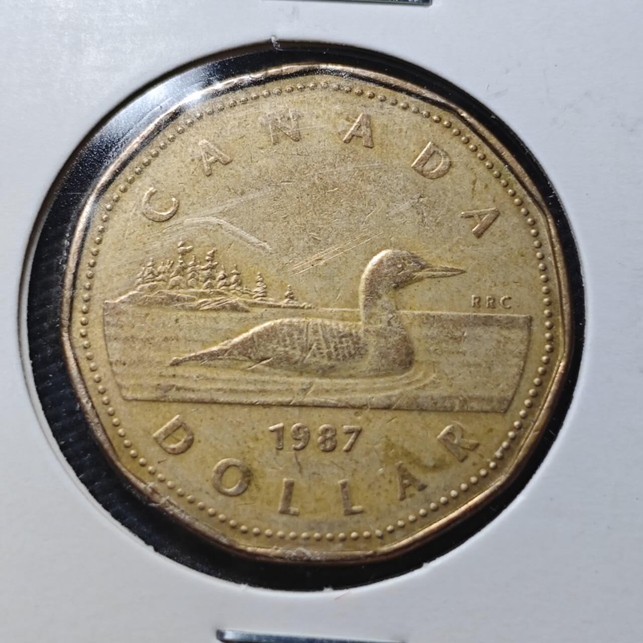 KK钱币收藏小铺  第360场  2月预留时间 周末发货  加拿大一元