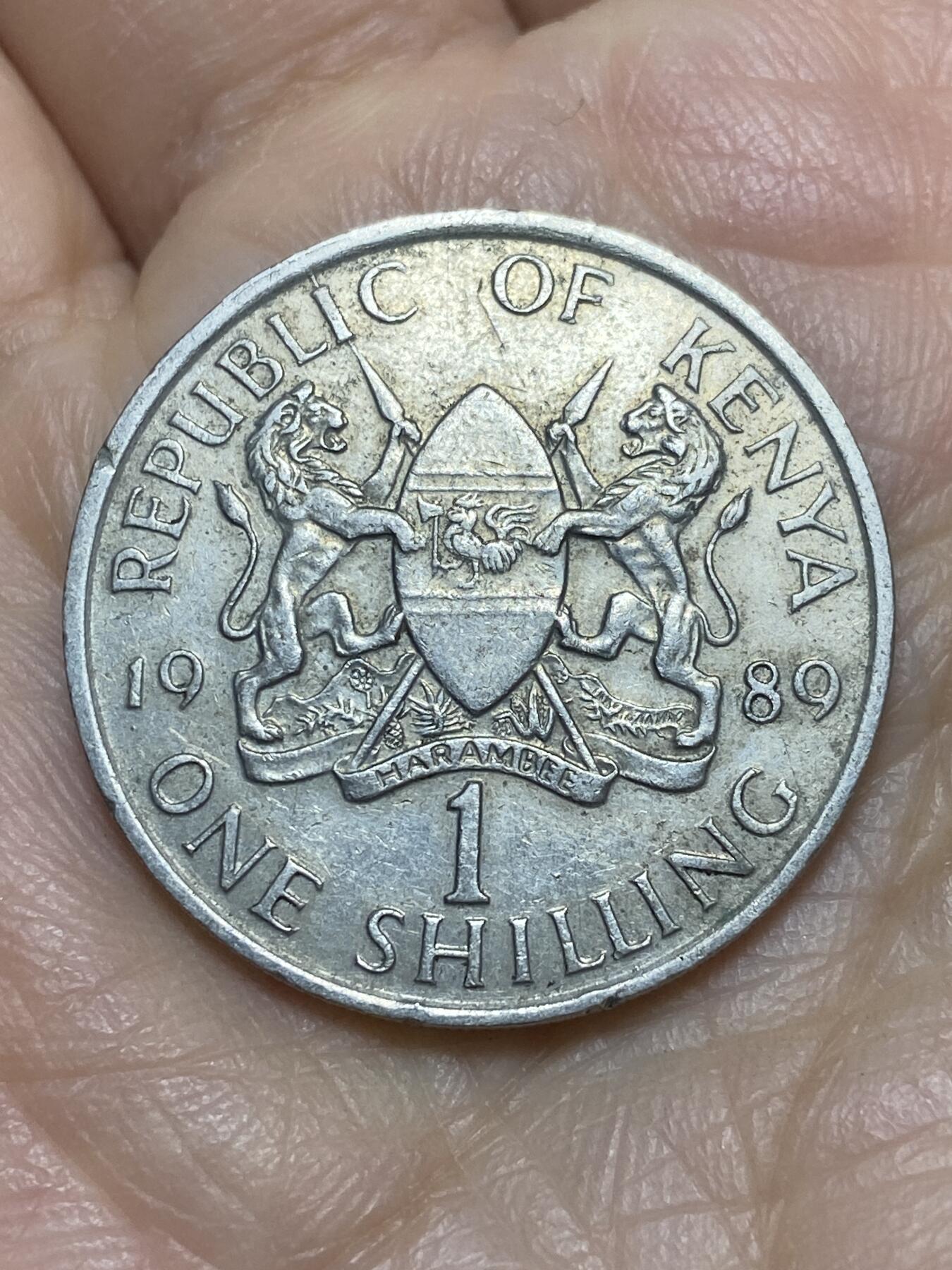 2025年第一百一十九场(总第一百四十五场）外国好品散币(免佣金) 肯尼亚🇰🇪1989年1先令