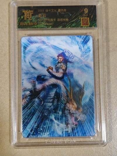 夜之极第三十四期 （11月1日周六晚9点截拍，欢迎竞拍） - CCG&焱卡 豪杰传 赵云 动态光栅 9m