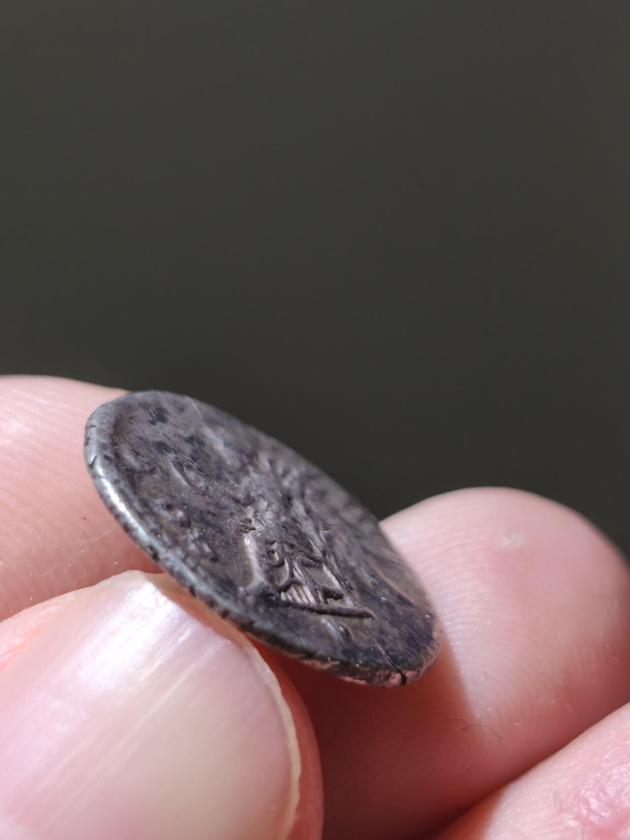 星盘世界钱币十一月五日古典币专场