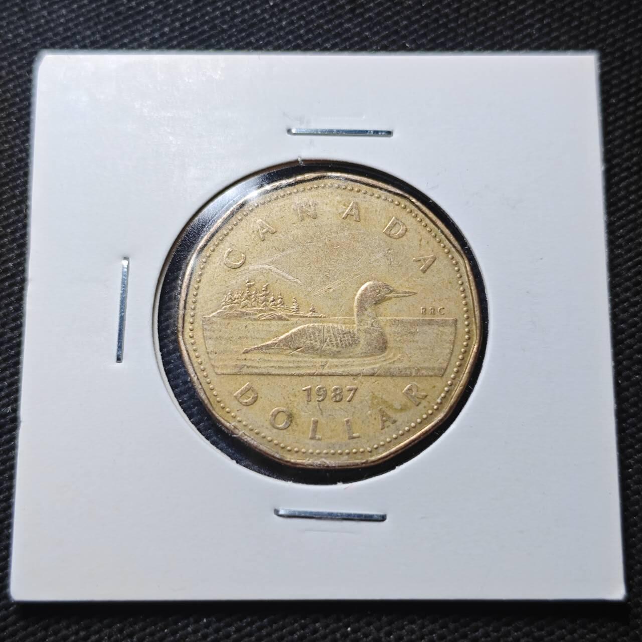 KK钱币收藏小铺  第360场  2月预留时间 周末发货  加拿大一元