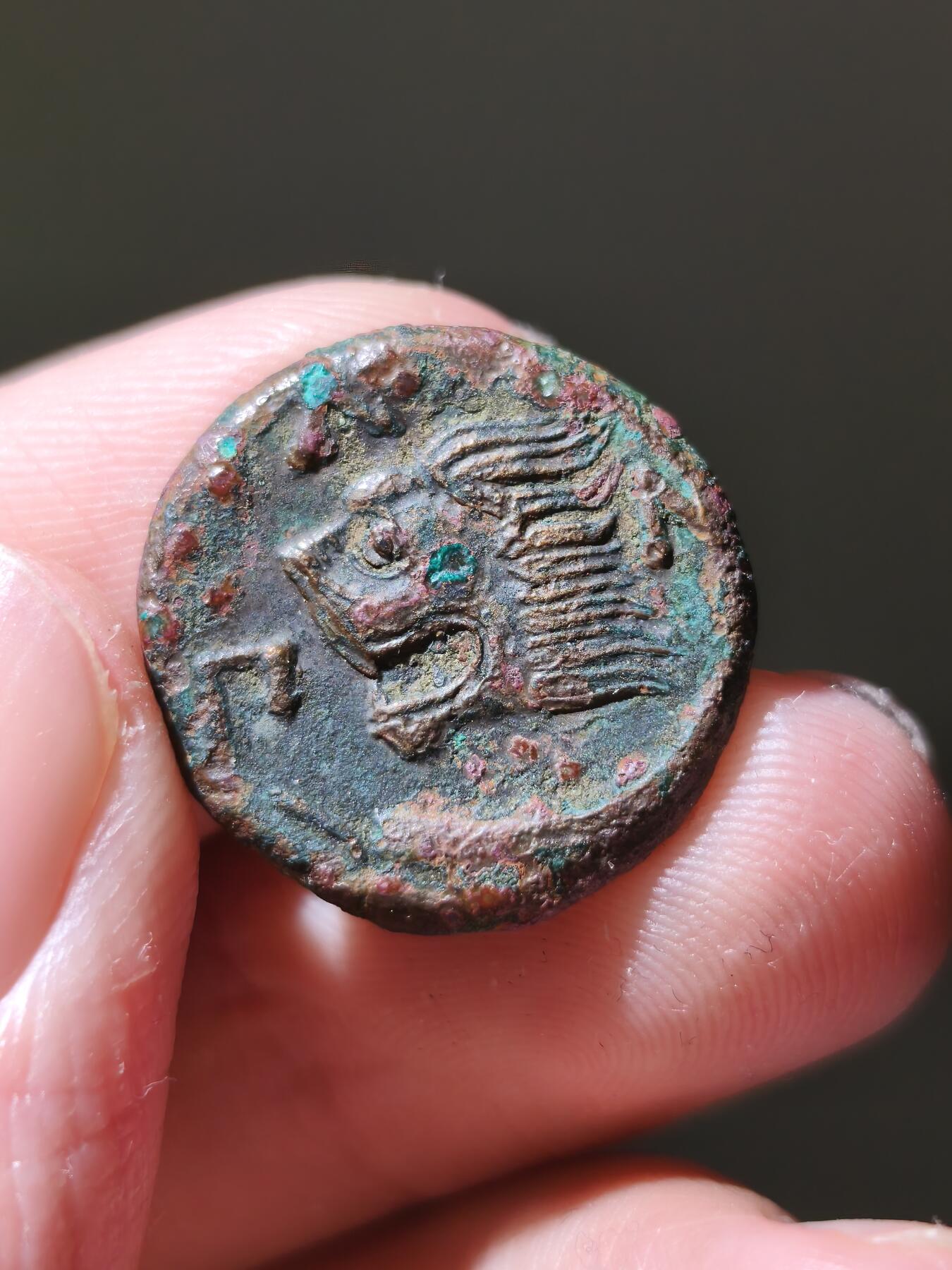 星盘世界钱币十一月五日古典币专场