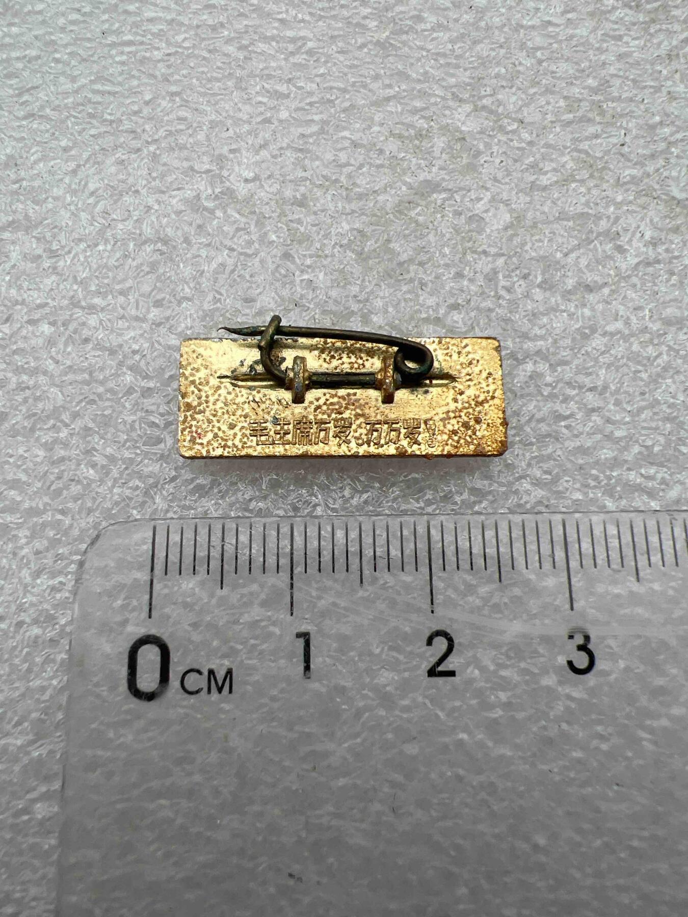 真品像章、纪念章