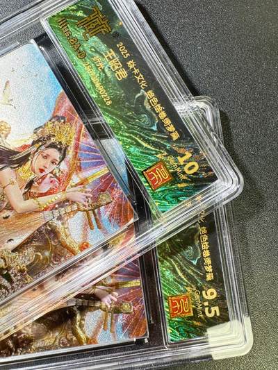 NO.14 好又多金牌大场，双11狂欢！每周一站式配齐，方便凑单！（周6晚8点截拍，卖家送拍0抽成！） - 焱卡 绝色绘卷 巴丁 王昭君 双服饰（少正常版）折光 9.5+10G