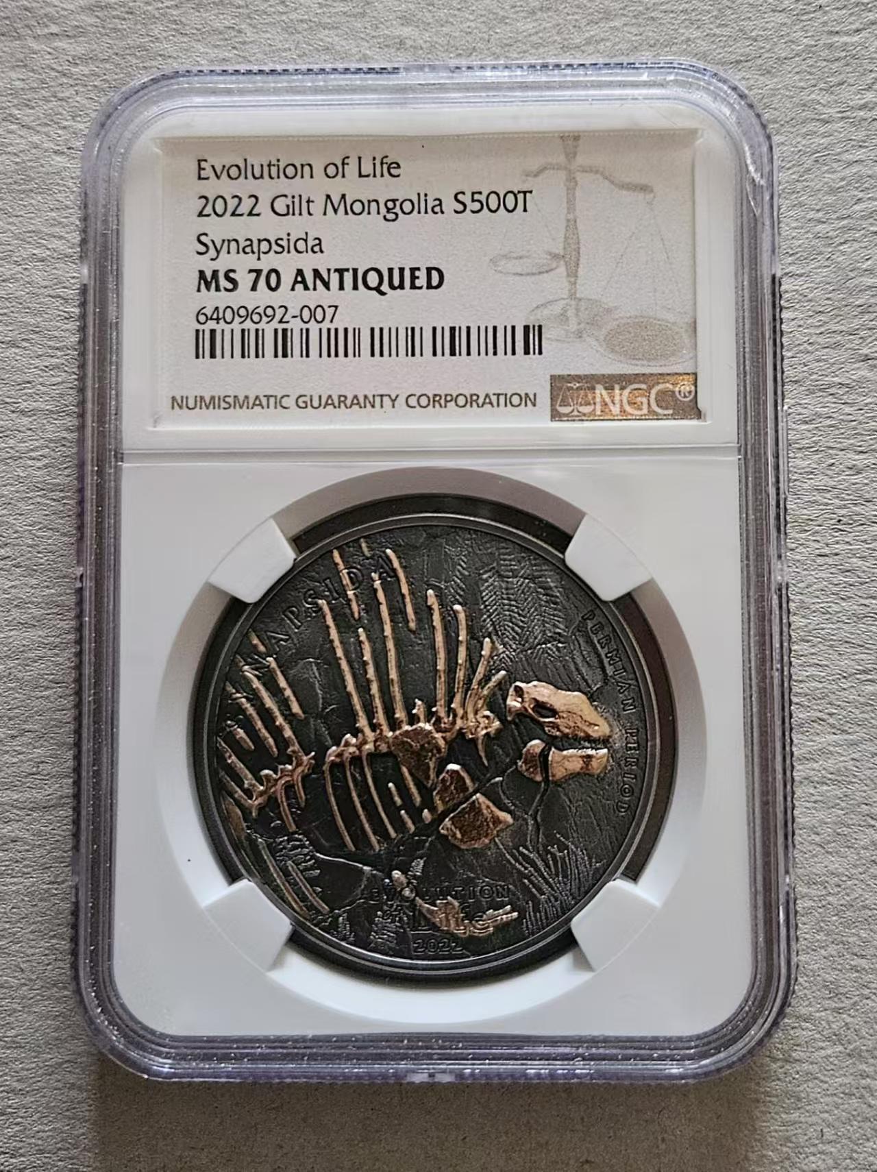 ❤️【币观天下】❤️ 第329期钱币拍卖- 2025.10.31周五晚上6点半场-长期征集拍品 NGC蒙古2022年生命进化合弓纲动物仿古镀金银币 999银1盎司，发行999枚，评级币带证书包装。