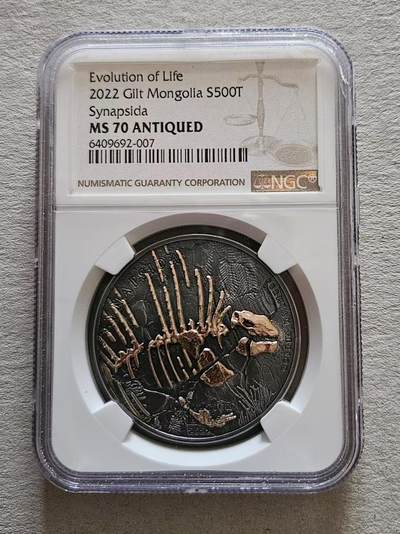 ❤️【币观天下】❤️ 第329期钱币拍卖- 2025.10.31周五晚上6点半场-长期征集拍品 - NGC蒙古2022年生命进化合弓纲动物仿古镀金银币 999银1盎司，发行999枚，评级币带证书包装。