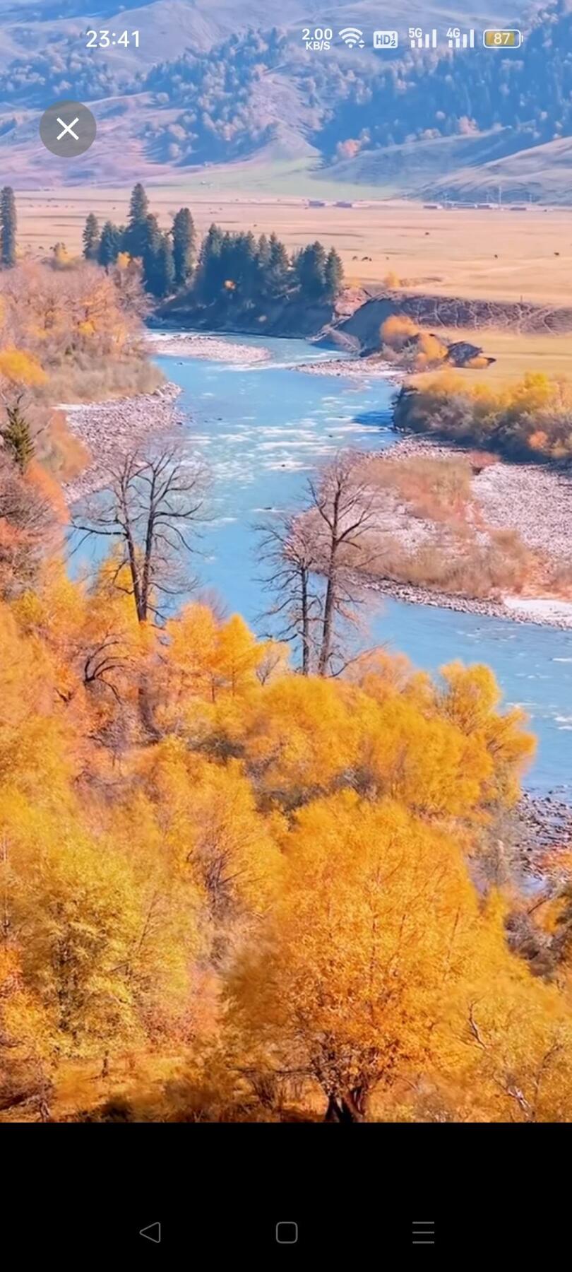 奇珍异宝评级卡（11月1日晚21:30结拍） 公博68分连号河北话机开通