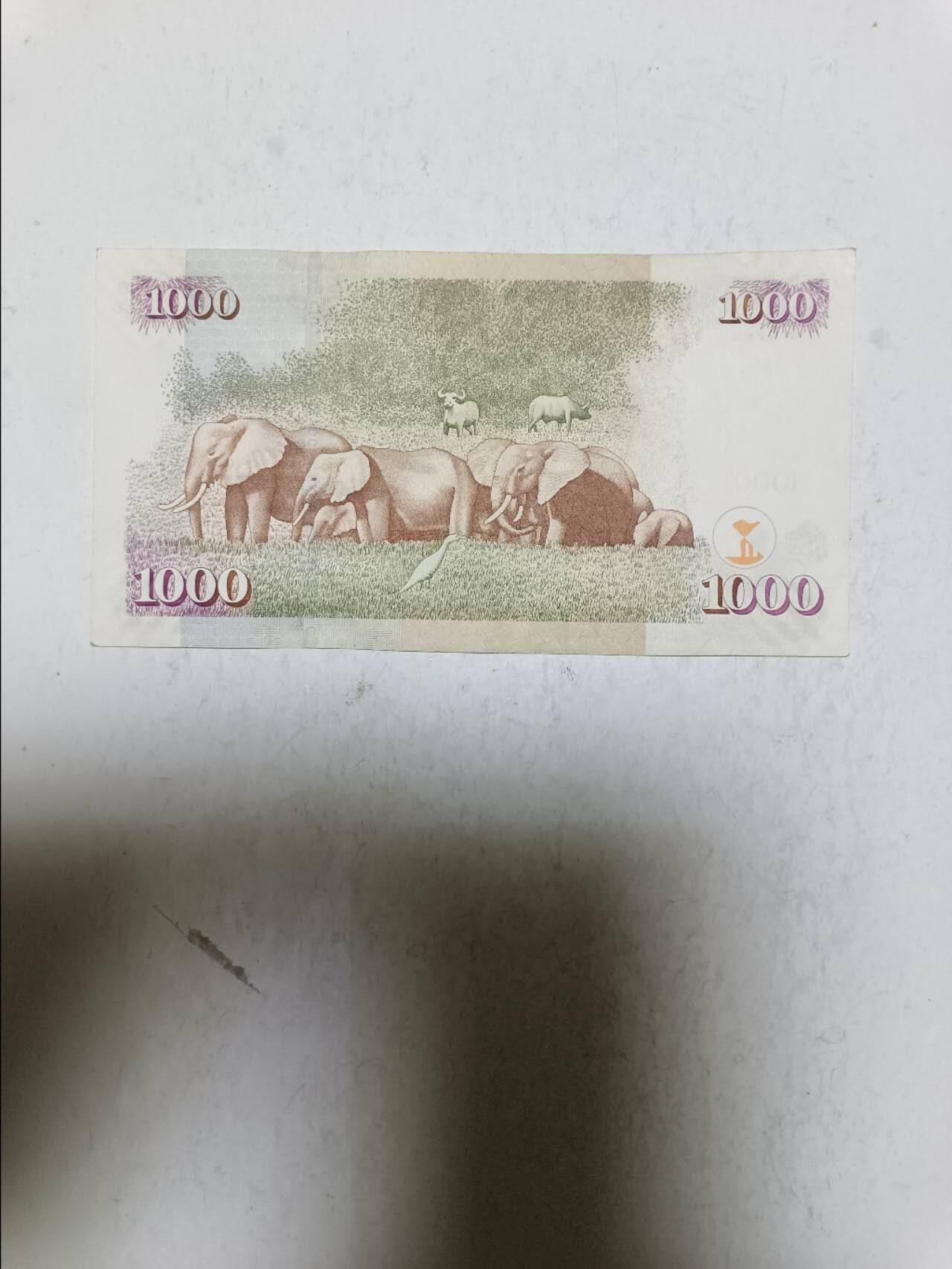 【20251103】非全新纸币第300场 肯尼亚2010年1000先令，汇率价约为55元