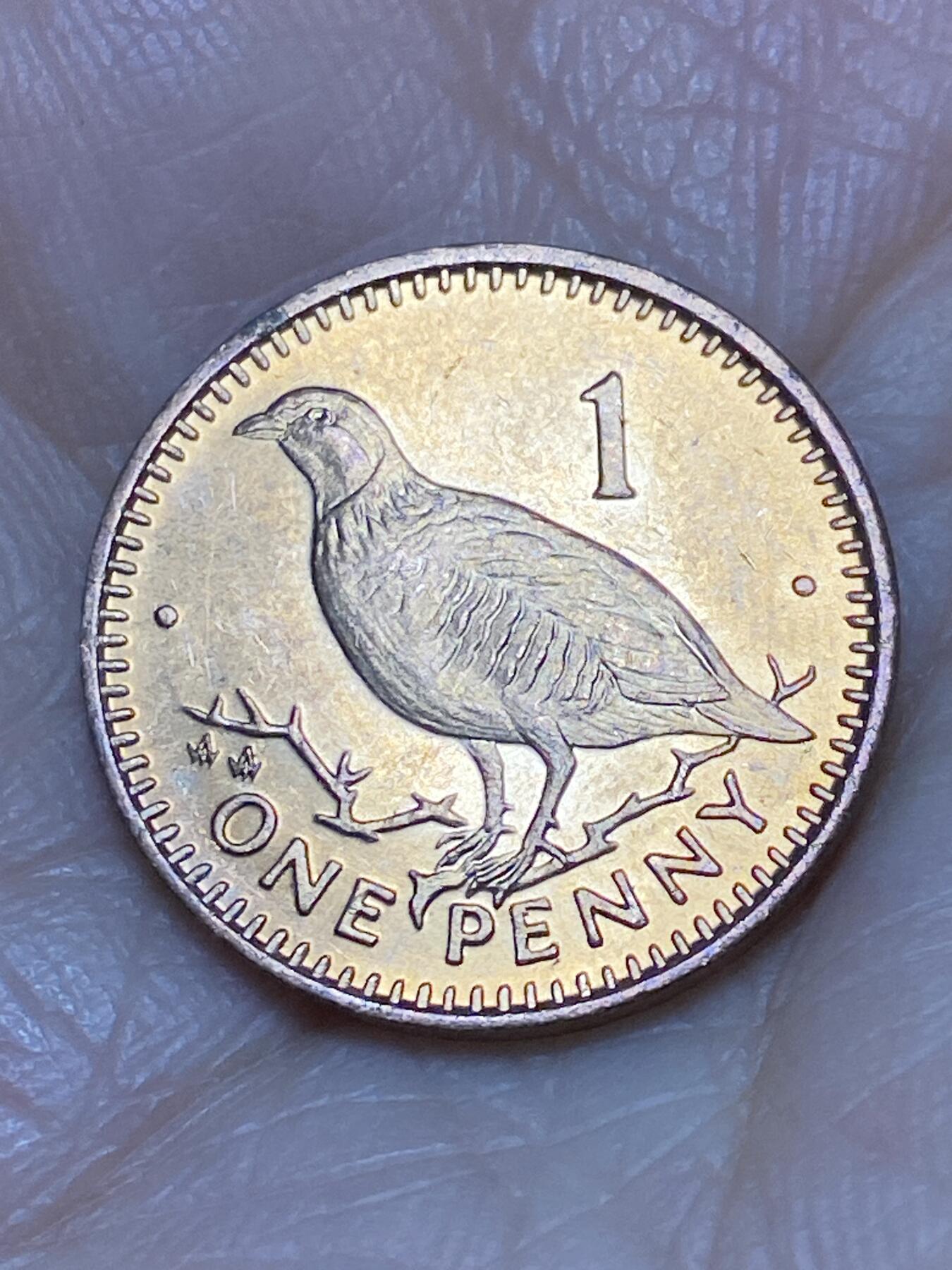 2025年第一百二十场(总第一百四十六场）外国好品散币(免佣金) 英属直布罗陀🇬🇮1991年1便士(伊丽莎白二世中年高冠)