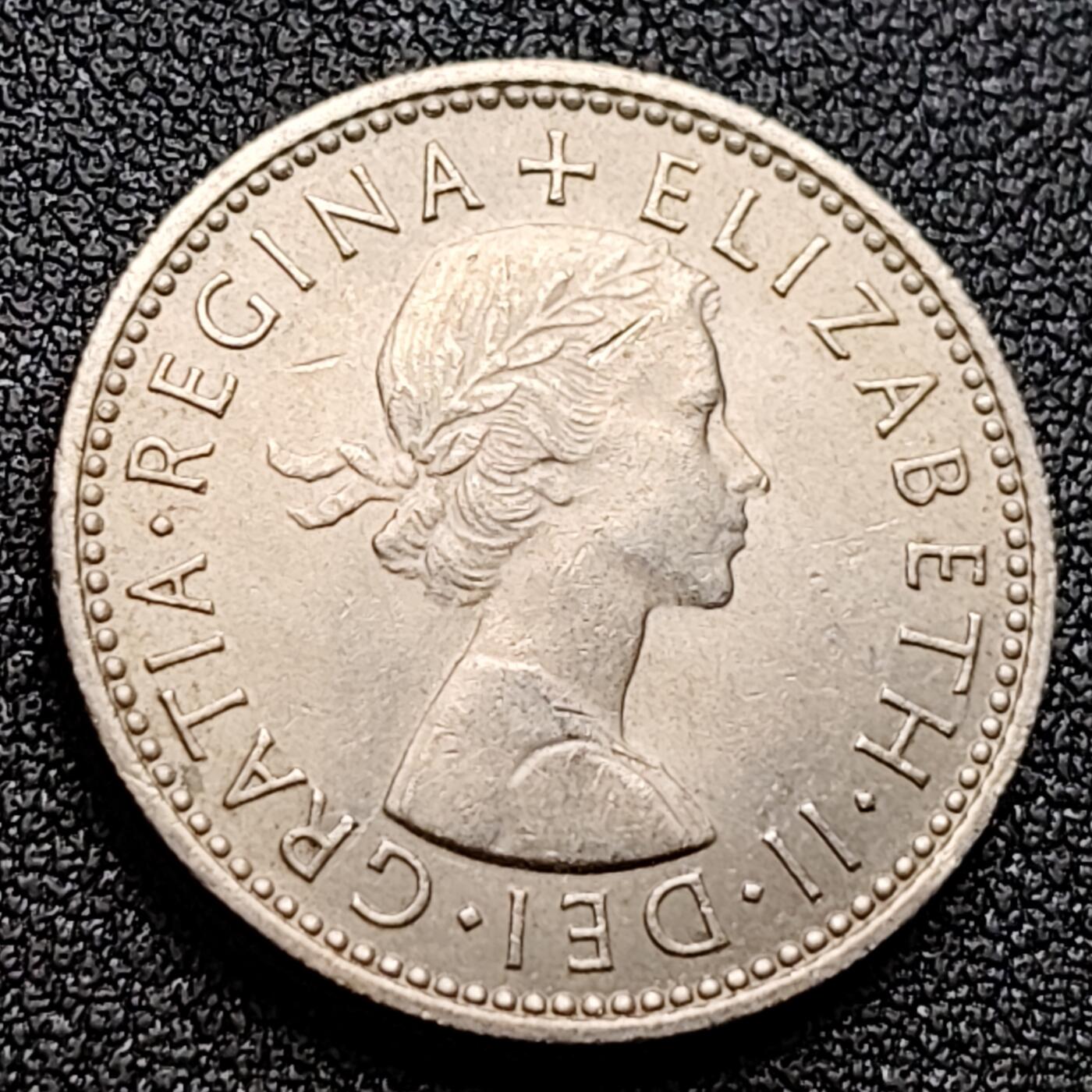 泉币菌-第121场-精品福利场