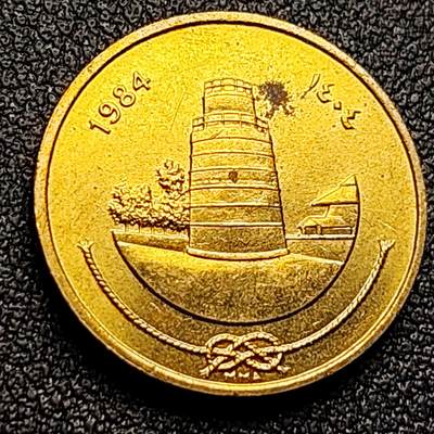 泉币菌-第121场-精品福利场 - 原铜光极美 清真寺 马尔代夫硬币 25拉雷  20mm 