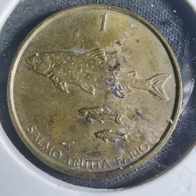 沼泽如烟--第885场 - 斯洛文尼亚2000年1托拉尔