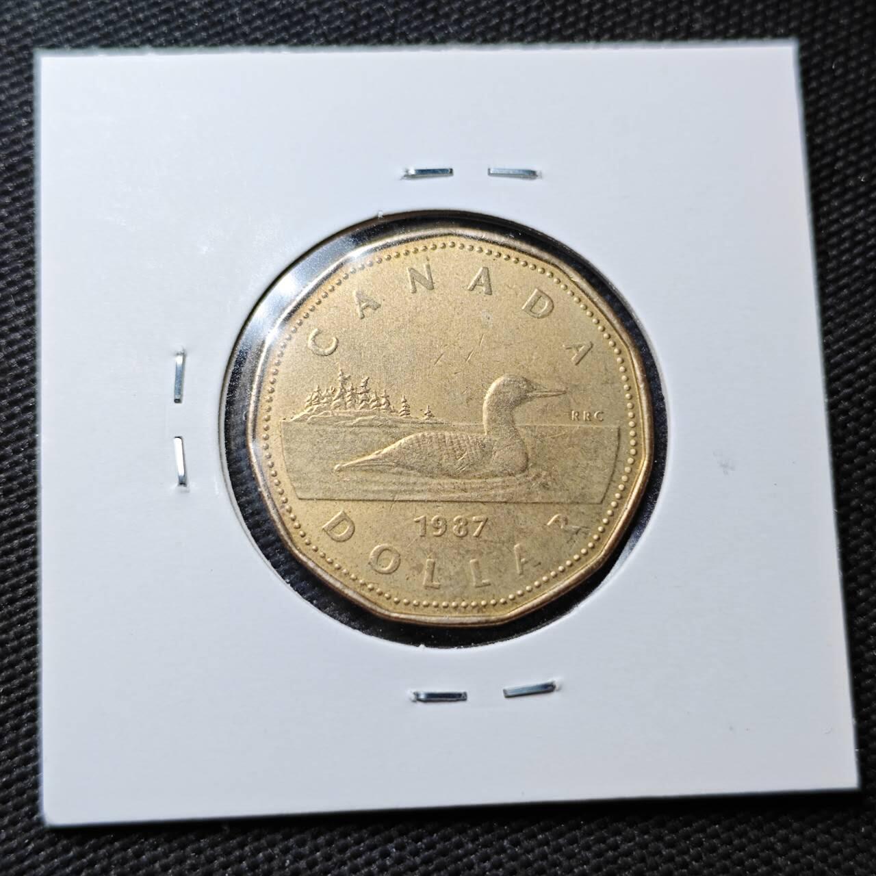 KK钱币收藏小铺  第361场  2月预留时间 周末发货  加拿大1元