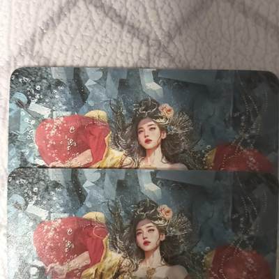 花开卡拍第45期（11月2号周日截拍，品控勿拍!!!拍品不寄存，运费5元，自制卡难免瑕疵，可能存在轻微撞角爆边等出厂瑕疵，品控介意勿拍！） - 燎原 焱卡文化 人间传 太平公主双服饰 普卡2张