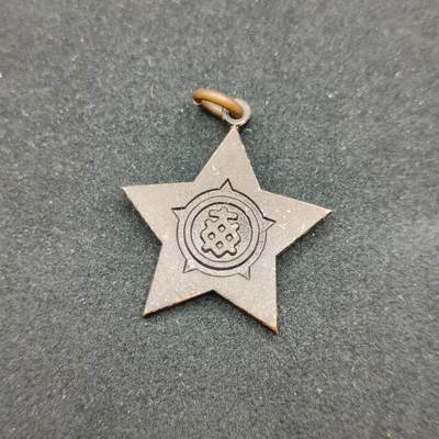 0元起拍勋章 第306期 咸鱼国勋章拍卖专场 11月2日（周日）下午6：00开始 - 每日新闻社徽章