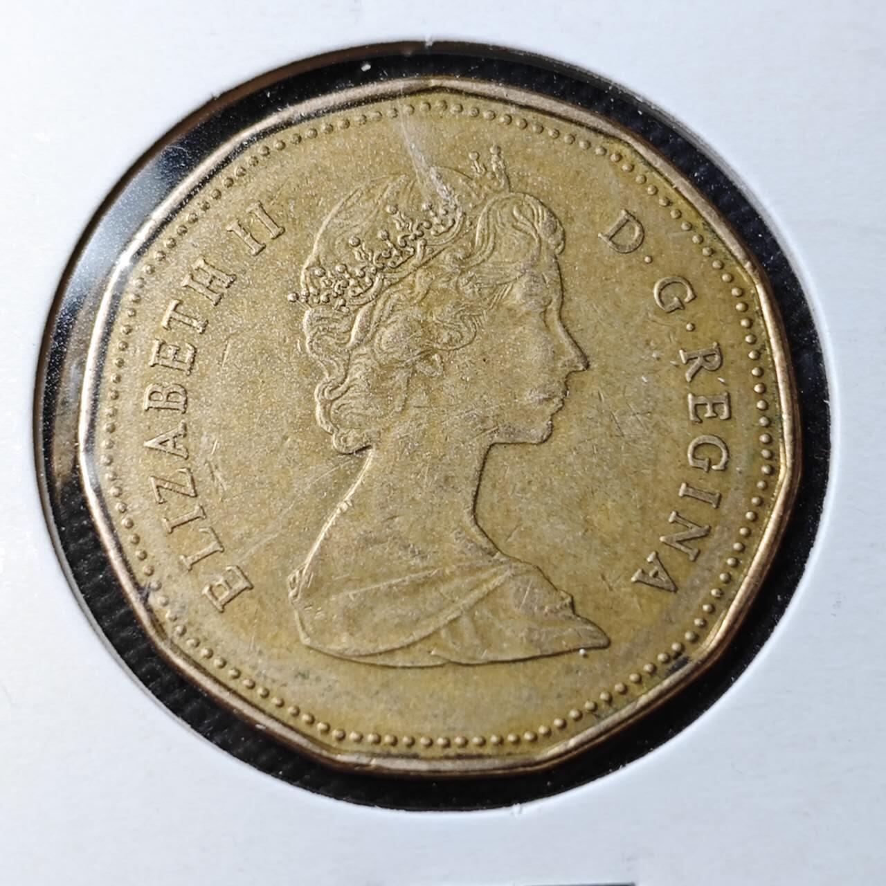 KK钱币收藏小铺  第361场  2月预留时间 周末发货  加拿大1元