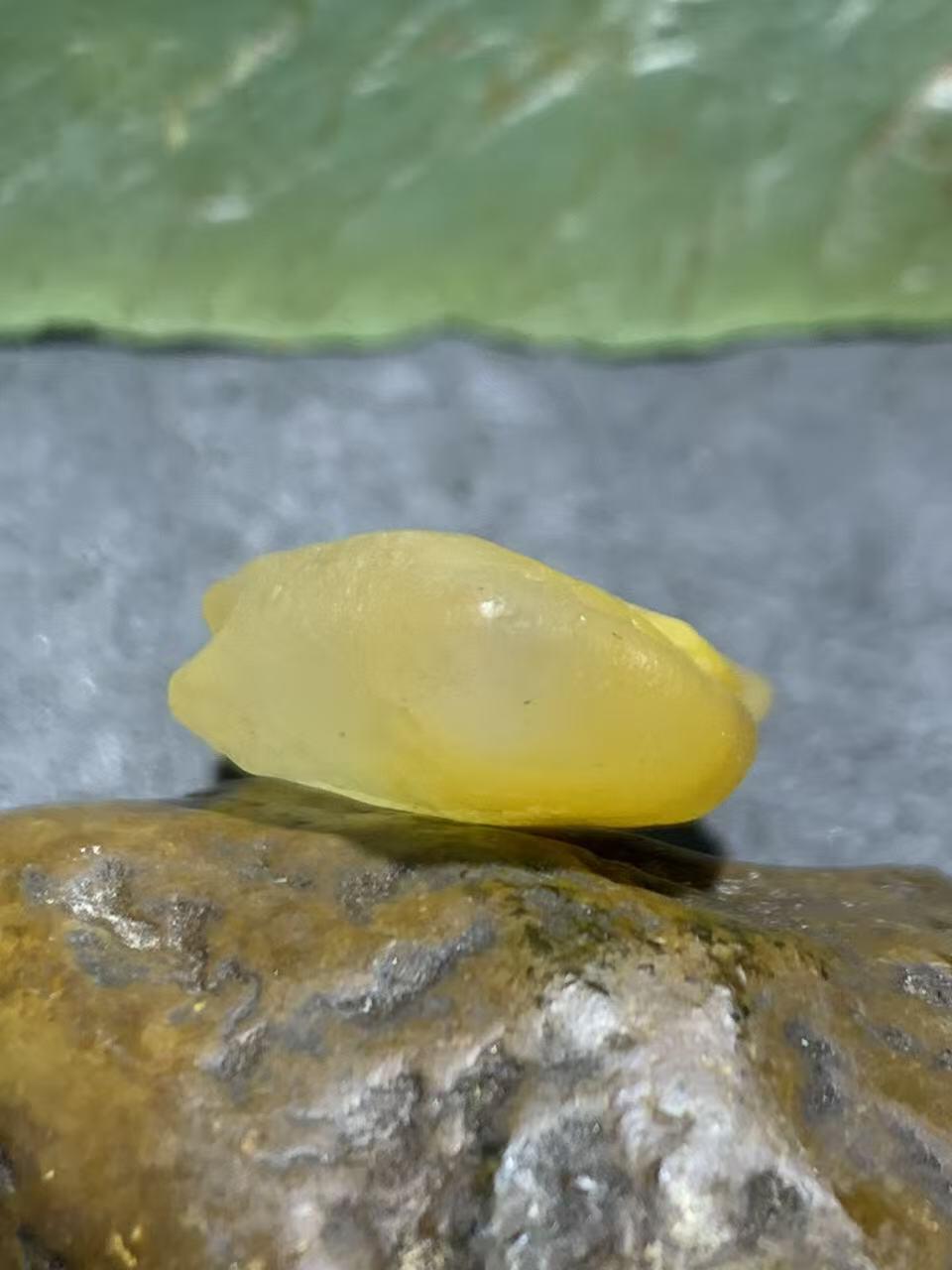 放福利！精美天然高玉化冰皮鸡油黄糖心阿拉善玛瑙原石一颗，