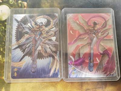 阳大大卡牌拍卖第79期（持续收拍品，周六晚上九点截拍，进群福利早知道） - 卡卡有趣 数码暴龙 天女兽双服饰 折光粗闪 带卡夹