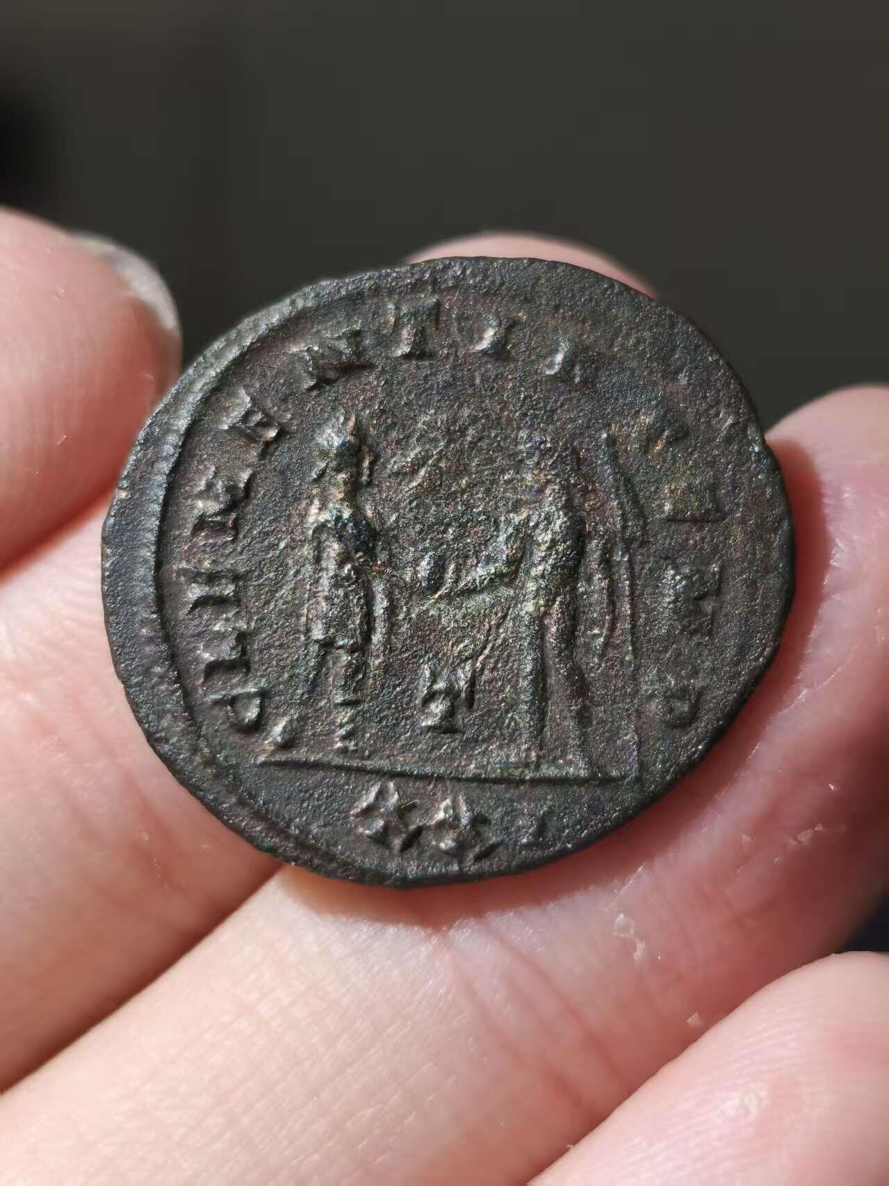 星盘世界钱币十一月五日古典币专场