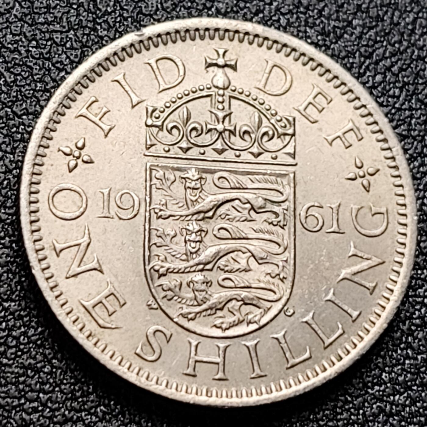 泉币菌-第121场-精品福利场