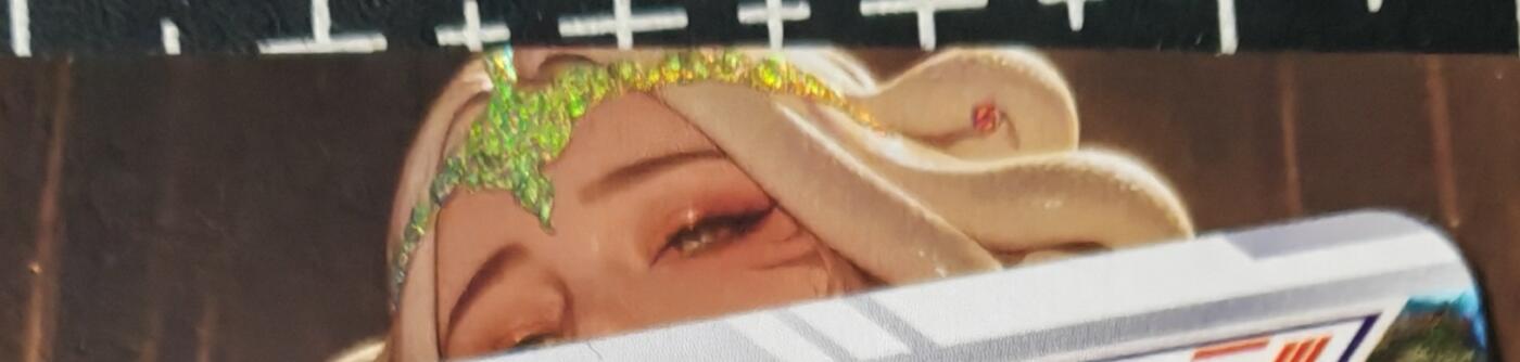 铃鹿第九期（提示一：自制卡难免瑕疵，可能存在撞角爆边等出厂瑕疵，介意慎拍；提示二：参拍请慎重，跑单押金不退的））