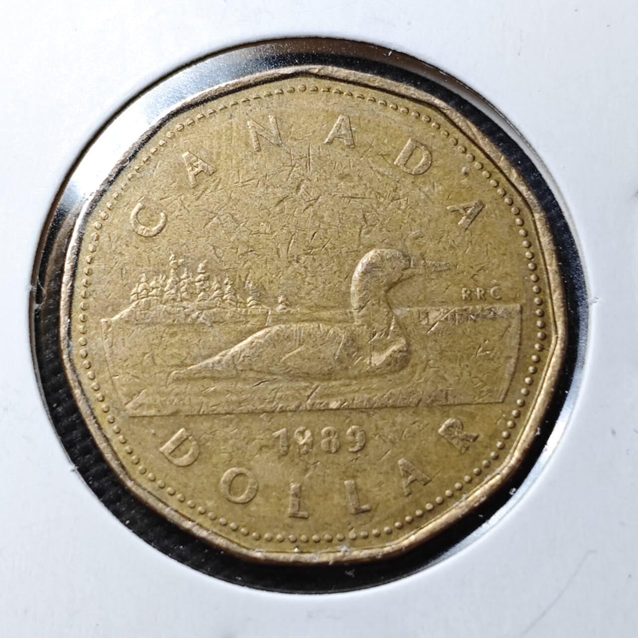 KK钱币收藏小铺  第361场  2月预留时间 周末发货  加拿大1元