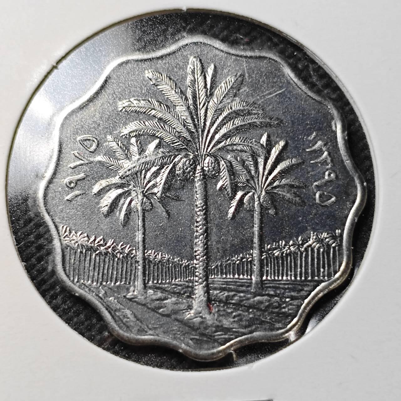 KK钱币收藏小铺  第362场  2月预留时间 周末发货