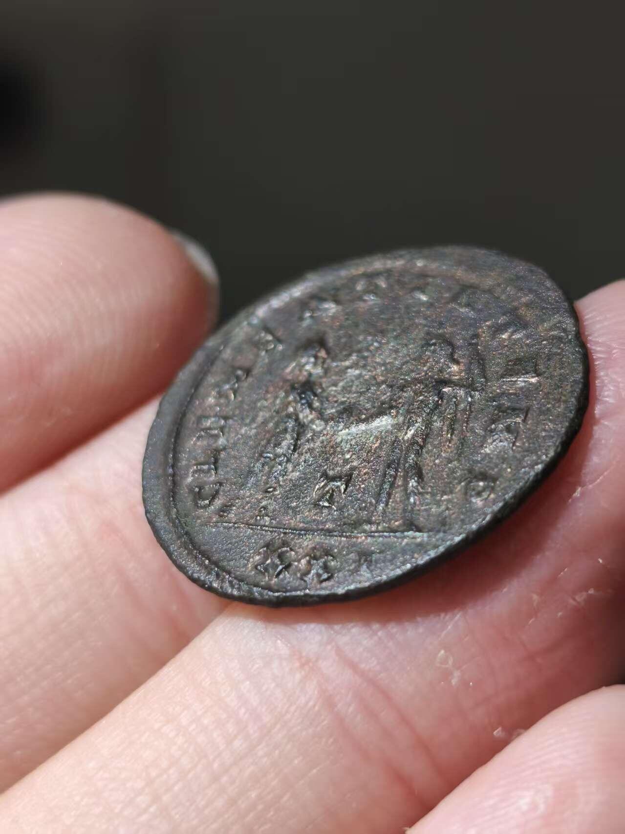 星盘世界钱币十一月五日古典币专场