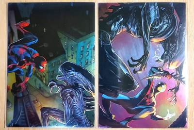 龙虎卡牌第六一场 （无佣金，单场满200元包邮，欢迎送拍） - 彩闪2张 美漫系列 蜘蛛侠大战毒液