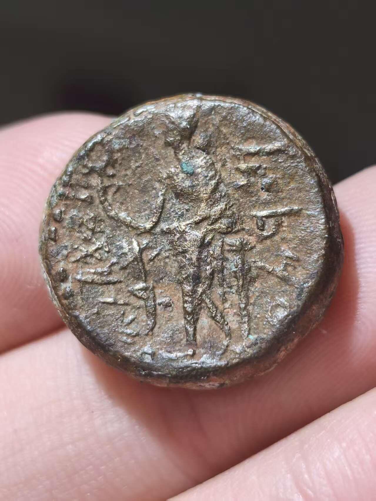 星盘世界钱币十一月五日古典币专场