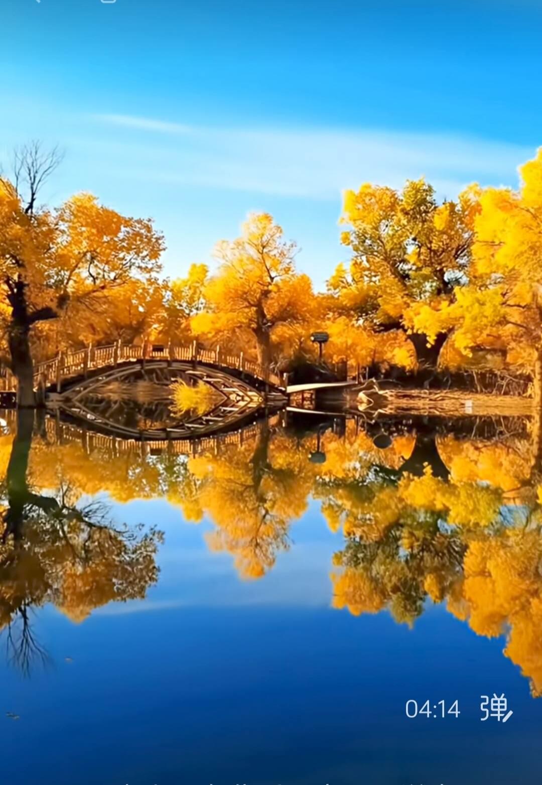 奇珍异宝评级卡（11月1日晚21:30结拍） 公博68分银川列车电话卡（2010年全国卡博会加字）