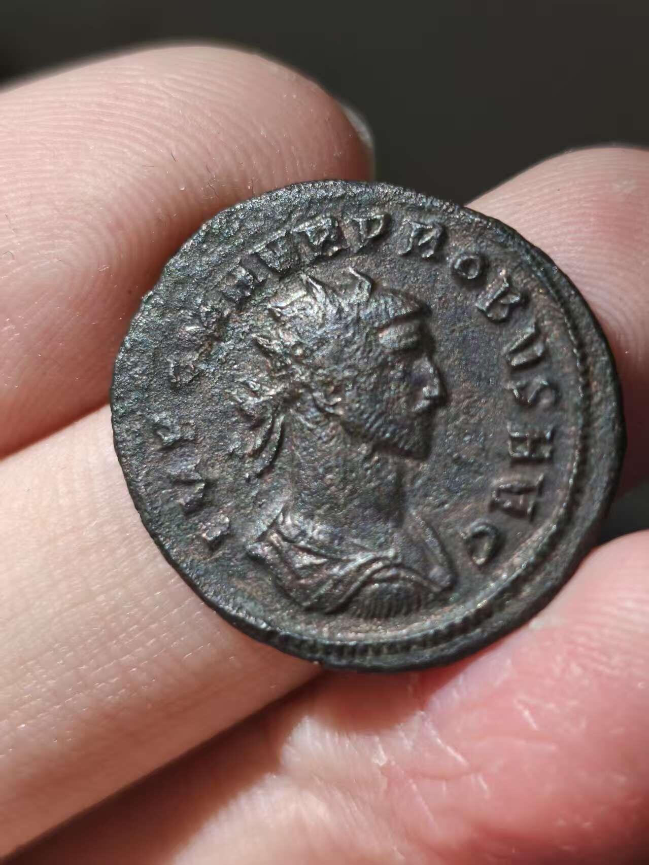 星盘世界钱币十一月五日古典币专场